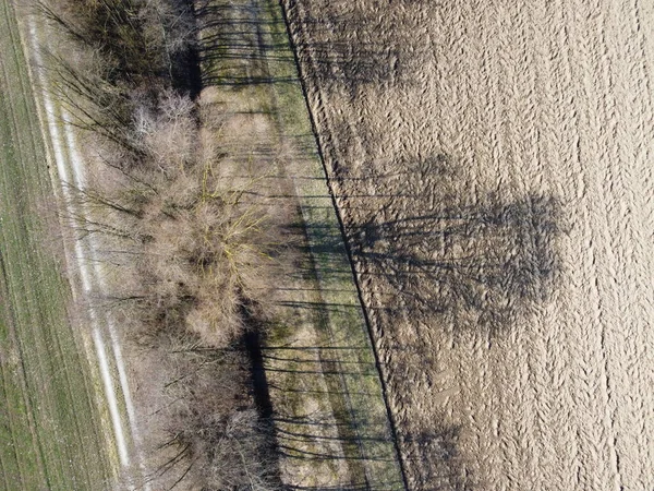 Długie Cienie Alei Drzew Liściastych Wiosną Bawarii — Zdjęcie stockowe