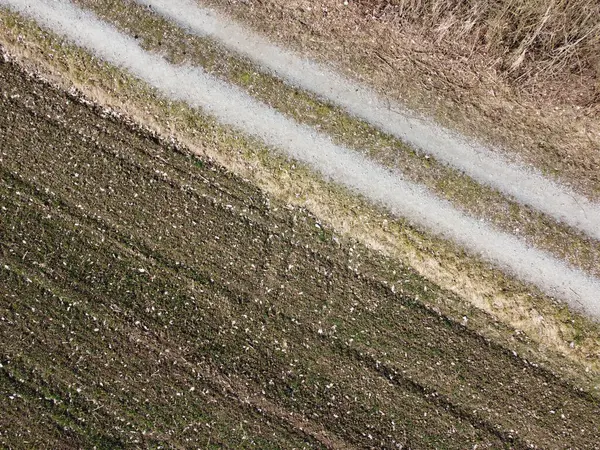 Hosszú Árnyékok Bajorországban Tavasszal Lombhullató Fákról — Stock Fotó