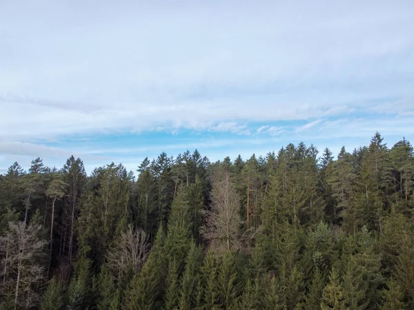 Légi Felvétel Erdő Bajorországban Sűrű Tűlevelű Fák Tisztások Mint Egy — Stock Fotó