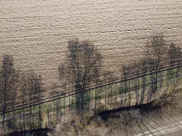 Hosszú Árnyékok Bajorországban Tavasszal Lombhullató Fákról — Stock Fotó