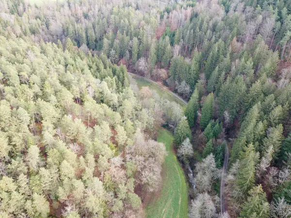 Luchtfoto Van Het Bos Bavaria Met Dichte Naaldbomen Open Plekken — Stockfoto