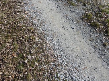 İlkbaharın başlarında ormanın tozlu yollarında, yakın plan.