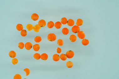 The lentil is a species of plant in the legume genus Fabaceae or Leguminosae