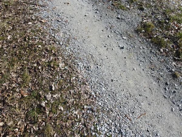 stock image Dirt road in the forest in early spring, close-up