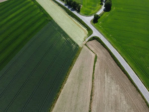 Luchtfoto Van Weg Door Het Groene Bos Drone Fotografie — Stockfoto