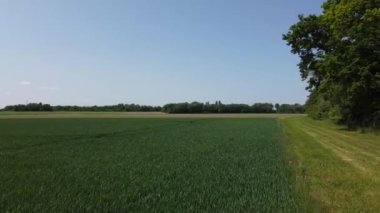 Baharda Bavyera 'daki Tuna Vadisi' ndeki tarım arazileri yemyeşil çayırlar ve toprak zengini