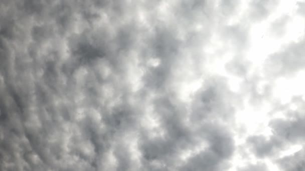 Altocumulus Chmury Puszyste Chmury Niebie — Wideo stockowe