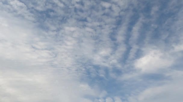 Altocumuluswolken Zeitraffer Modus Flauschige Wolken Blauen Himmel — Αρχείο Βίντεο