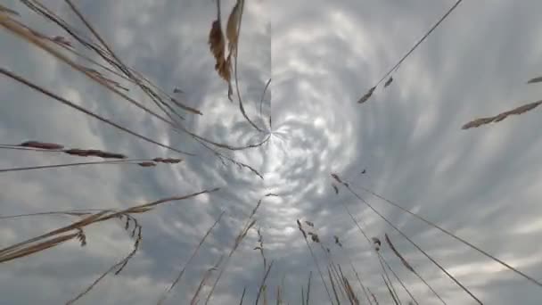 Σύννεφα Βίντεο Γυρίστηκε Παραμορφωμένο Και Καλλιτεχνικά Επεξεργασμένο — Αρχείο Βίντεο
