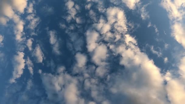 Czarne Chmury Deszczowe Pokryły Niebo — Wideo stockowe