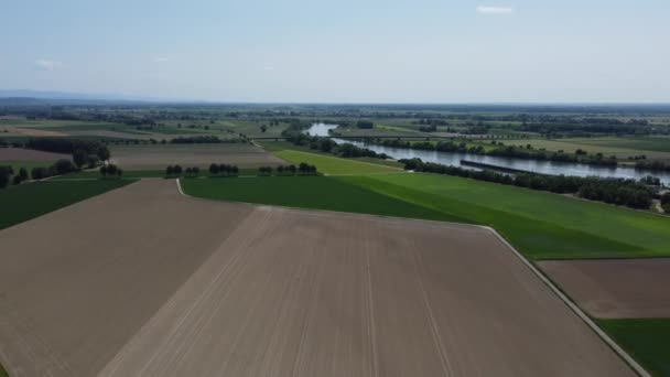Αγροτικά Χωράφια Στην Κοιλάδα Του Δούναβη Στη Βαυαρία Την Άνοιξη — Αρχείο Βίντεο