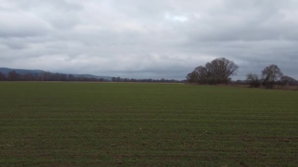 Fields Meadows Rain Clouds Winter — Vídeo de stock