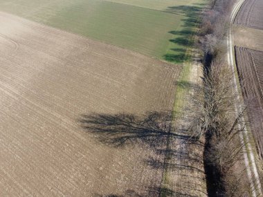 Baharın başında sürülmüş tarla, yere yakın.