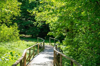 Yazın çekilen küçük bir derenin üzerinden geçen ormandaki köprü.