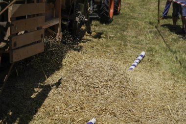 Yiyecek tarlası olarak işlenmek üzere yazın toplanan tahıl.