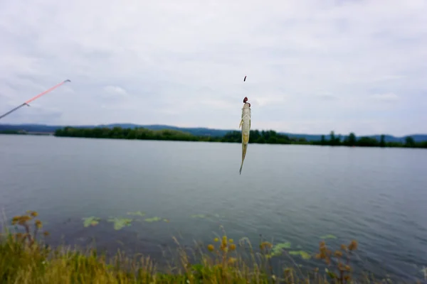 湖と空を背景に釣竿と魚 — ストック写真
