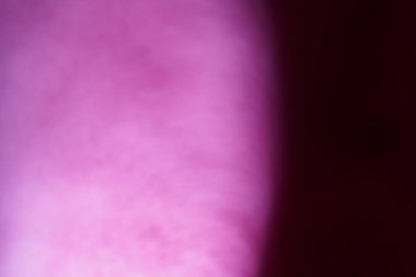 Stüdyoda gradyan ile tek renkli arka plan fotoğraf çekimi