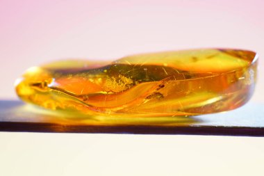 closeup of a piece of amber on a white background with reflection                               