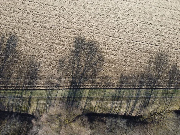 Légi Felvétel Tavaszi Németországi Termőföldekről Erdőkről — Stock Fotó