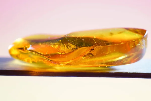 stock image closeup of a piece of amber on a white background with reflection                               
