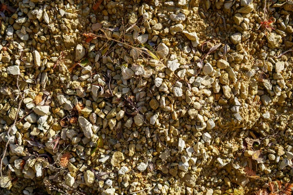 采石场的土壤作为废物产品 可在花园里广泛使用 — 图库照片