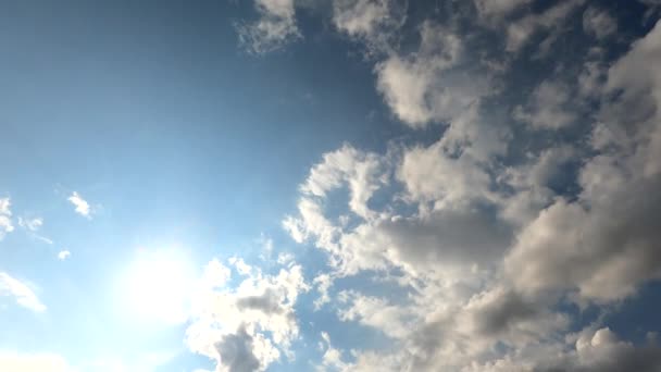 Zeitraffer Video Wald Mit Wolken Und Bewegung Von Gewitterwolken — Stockvideo
