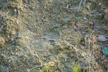 Taş ocağındaki toprak atık olarak kullanılıyor ve bahçede çok amaçlı kullanılıyor.