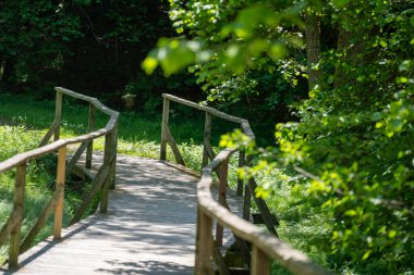 Yazın çekilen küçük bir derenin üzerinden geçen ormandaki köprü.