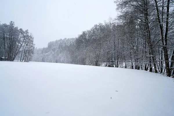 Winter Lots Snow Bavaria Beautiful Again Every Year Stock Photo
