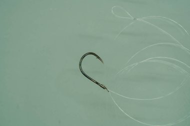 Balık oltası başı olta ipiyle detaylıca izole edilmiş