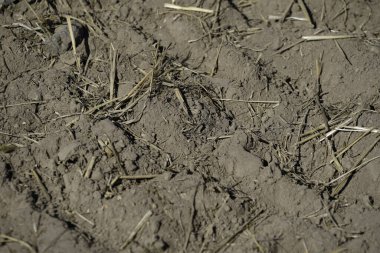 Taş ocağındaki toprak atık olarak kullanılıyor ve bahçede çok amaçlı kullanılıyor.