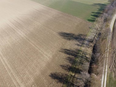 Bavyera 'da ilkbaharda yaprak döken ağaçlardan uzun gölgeler