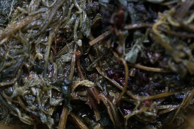 Jiaogulan bitki çayı ölümsüzlerin bitkisi olarak adlandırılır ve çay, kurutulmuş bitki gibi içilir.,          