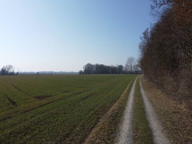 Baharın başında sürülmüş tarla, yere yakın.