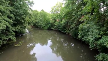 Amberg yakınlarındaki Vils Nehri 'nde pancar suyu, ardından yağmur ve kıyıda çalılar.