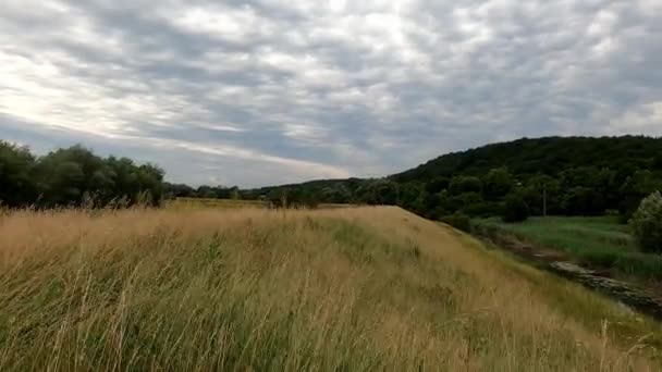 Altocumuluswolken Zeitraffer Und Grüne Sommerwiese Vordergrund Flauschige Wolken Und Blauer — Stockvideo