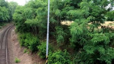 Yoğun ormanlardan geçen demiryolu doğada yalnız ve romantiktir.