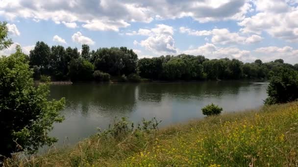 Tijdsverloop Van Rivier Donau Met Altocomulus Wolken — Stockvideo