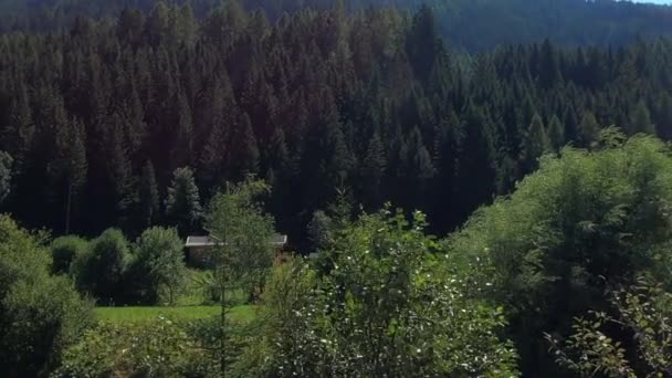 Montagnes Autriche Long Ruisseau Sentier Randonnée — Video