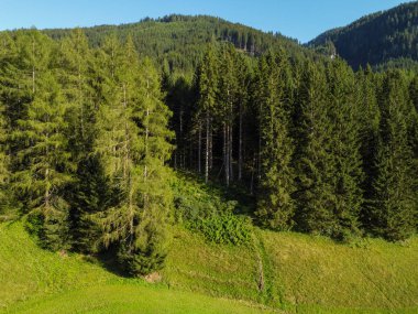 Gün batımında Avusturya 'da Brenner Geçidi' nde güzel bir manzarada dağlar ve çayırlar, 4k