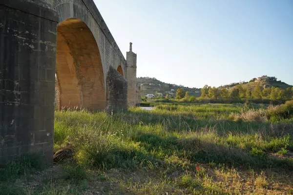 İspanya 'da Guadiana üzerinde Roma köprüsü olan Medellin.