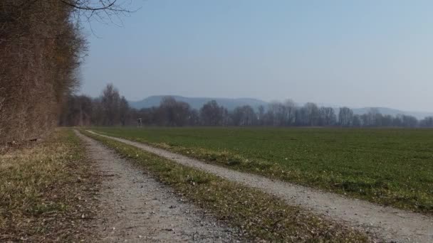 在巴伐利亚的绿地和干地阳光灿烂的一天拍摄于Uhd — 图库视频影像