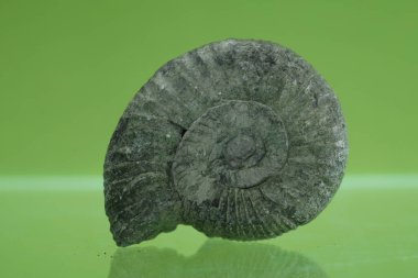 Yeşil arka planda kristal kuvars kristalleri olan doğal bir mineral çok güzel bir arka plan ve soyut bir makro.