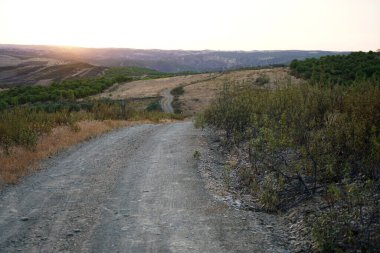 Yeşil çayırlarla Bavyera 'da yürüyüş yolu