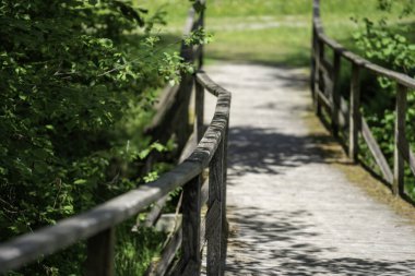 Yazın çekilen küçük bir derenin üzerinden geçen ormandaki tahta köprü.