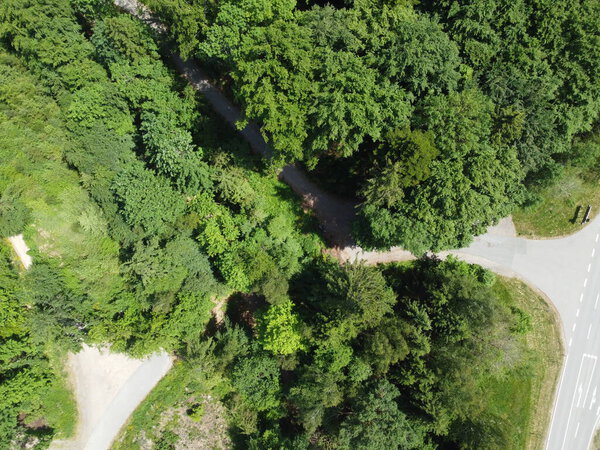 Aerial view of the road through the green forest. drone photography
