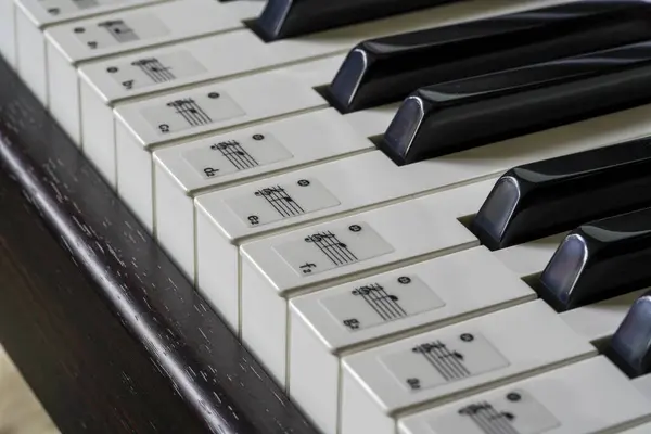 Піаніно Чорно Білими Ключами Деталях Дерев Яним Виглядом — стокове фото