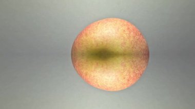 Elma, kasıtlı çarpıtmalar ve anormalliklerle ustaca düzenlenmiş.