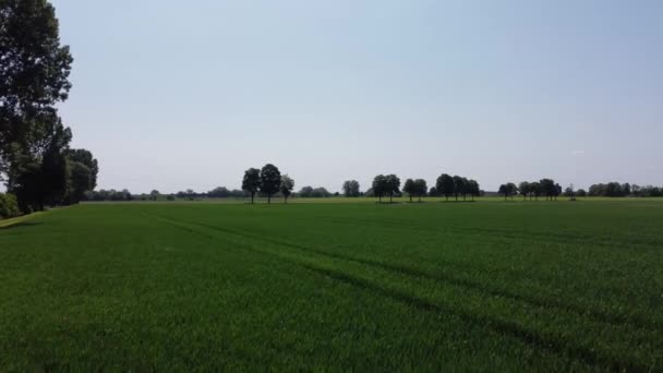 Landbouwvelden Het Donaudal Beieren Het Voorjaar Met Weelderige Weiden Bodemrijk — Stockvideo