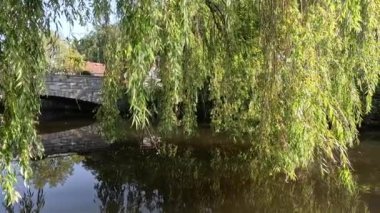 Bavyera 'daki cennet nehri boyunca sonbahar ağaçları